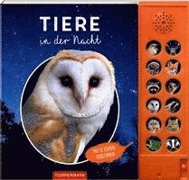 Tiere in der Nacht 1