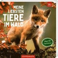 bokomslag Meine liebsten Tiere im Wald