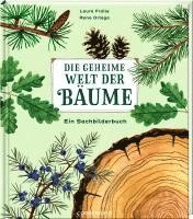 Die geheime Welt der Bäume 1