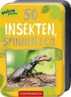 bokomslag 50 Insekten, Spinnen & Co.