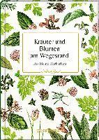 bokomslag Kräuter und Blumen am Wegesrand