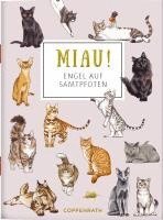 bokomslag MIAU! - Engel auf Samtpfoten