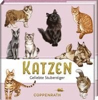 bokomslag Katzen