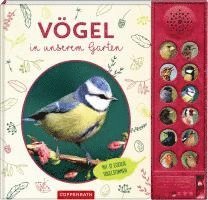 Vögel in unserem Garten