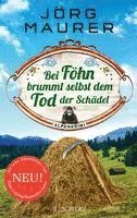 bokomslag Bei Föhn brummt selbst dem Tod der Schädel