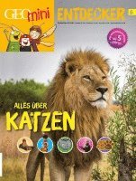 bokomslag GEOlino mini Entdeckerheft 6/2017 - Alles über Katzen