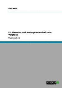 bokomslag Eu, Mercosur Und Andengemeinschaft - Ein Vergleich