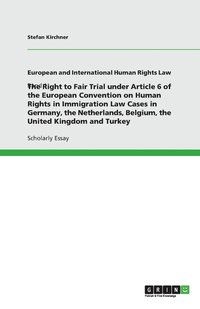 bokomslag The Right to Fair Trial under Article 6 of the European Convention on Human Rights in Immigration Law Cases in Germany, the Netherlands, Belgium, the United Kingdom and Turkey