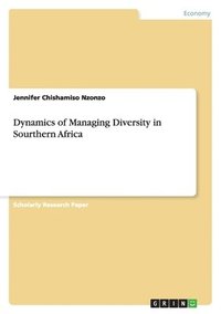 bokomslag Dynamics of Managing Diversity in Sourthern Africa