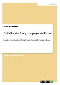 bokomslag Guidelines for foreign employees in France