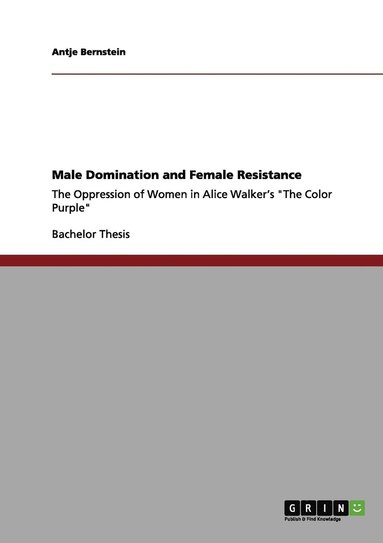 bokomslag Male Domination and Female Resistance