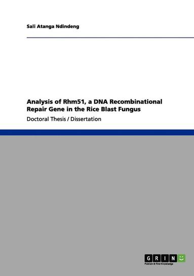 bokomslag Analysis of Rhm51, a DNA Recombinational Repair Gene in the Rice Blast Fungus