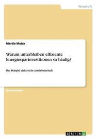 bokomslag Warum Unterbleiben Effiziente Energiesparinvestitionen So Haufig?