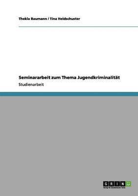 bokomslag Seminararbeit zum Thema Jugendkriminalität