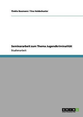 bokomslag Seminararbeit zum Thema Jugendkriminalitt