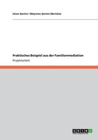 bokomslag Praktisches Beispiel aus der Familienmediation