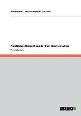 Islam Qerimi, Mejreme Qerimi (Berisha) - Praktisches Beispiel aus der Familienmediation, Häftad