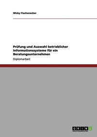 bokomslag Prüfung und Auswahl betrieblicher Informationssysteme für ein Beratungsunternehmen