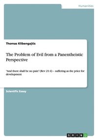 bokomslag The Problem of Evil from a Panentheistic Perspective