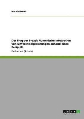 bokomslag Flug der Brezel