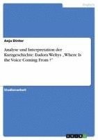 bokomslag Analyse Und Interpretation Der Kurzgeschichte