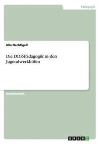 bokomslag Die DDR-Pdagogik in den Jugendwerkhfen