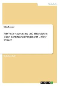 bokomslag Fair Value Accounting Und Finanzkrise