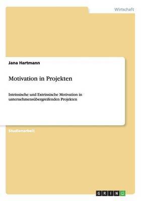 Jana Hartmann - Motivation in Projekten, Häftad