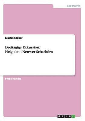 Martin Steger - Dreitägige Exkursion, Häftad