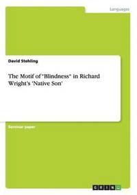 bokomslag The Motif of &quot;Blindness&quot; in Richard Wright's 'Native Son'