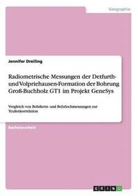 bokomslag Radiometrische Messungen der Detfurth- und Volpriehausen-Formation der Bohrung Gro-Buchholz GT1 im Projekt GeneSys