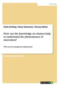 bokomslag How can the knowledge on clusters help to understand the phenomenon of innovation?