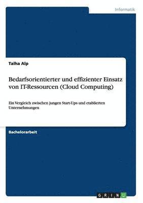 Bedarfsorientierter und effizienter Einsatz von IT-Ressourcen (Cloud Computing) 1