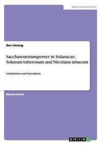 bokomslag Saccharosetransporter in Solanacae, Solanum tuberosum und Nicotiana tabacum