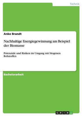 bokomslag Nachhaltige Energiegewinnung Am Beispiel Der Biomasse