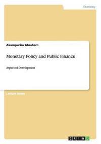 bokomslag Monetary Policy and Public Finance