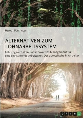 Helmut Pürstinger - Alternativen zum Lohnarbeitssystem. Führungsverhalten und innovatives Management für eine sinnstiftende Arbeitswelt, Häftad