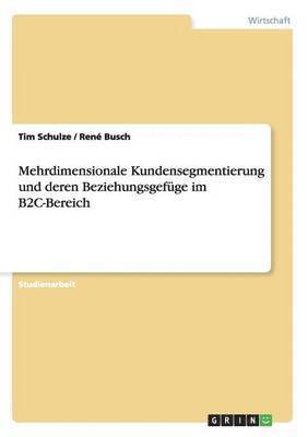 Tim Schulze, René Busch - Mehrdimensionale Kundensegmentierung und deren Beziehungsgefüge im B2C-Bereich, Häftad
