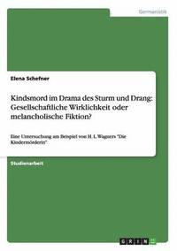 bokomslag Kindsmord im Drama des Sturm und Drang