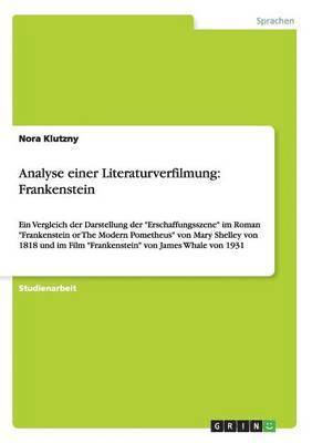Nora Klutzny - Analyse einer Literaturverfilmung, Häftad