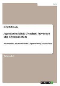bokomslag Jugendkriminalität