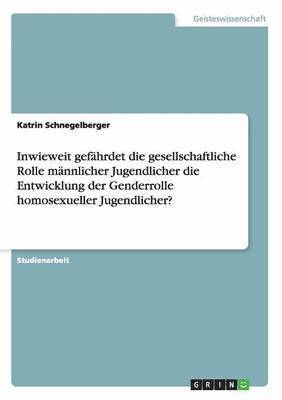 Katrin Schnegelberger - Inwieweit gefährdet die gesellschaftliche Rolle männlicher Jugendlicher die Entwicklung der Genderrolle homosexueller Jugendlicher?, Häftad