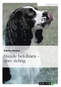 bokomslag Hunde Belohnen - Aber Richtig