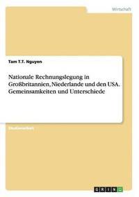 bokomslag Nationale Rechnungslegung in Grobritannien, Niederlande Und Den USA. Gemeinsamkeiten Und Unterschiede