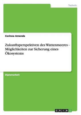 bokomslag Zukunftsperspektiven des Wattenmeeres - Mglichkeiten zur Sicherung eines kosystems