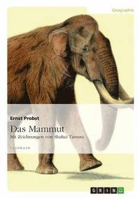 bokomslag Das Mammut