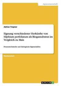 bokomslag Eignung Verschiedener Herkunfte Von Silphium Perfoliatum ALS Biogassubstrat Im Vergleich Zu Mais