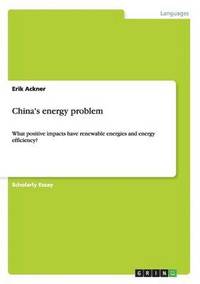 bokomslag China's energy problem