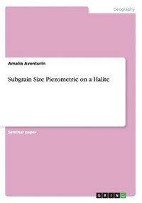 bokomslag Subgrain Size Piezometric on a Halite