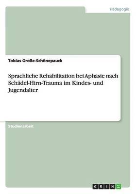 Tobias Große-Schönepauck - Sprachliche Rehabilitation bei Aphasie nach Schädel-Hirn-Trauma im Kindes- und Jugendalter, Häftad